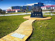 齐齐哈尔天华矿业集团