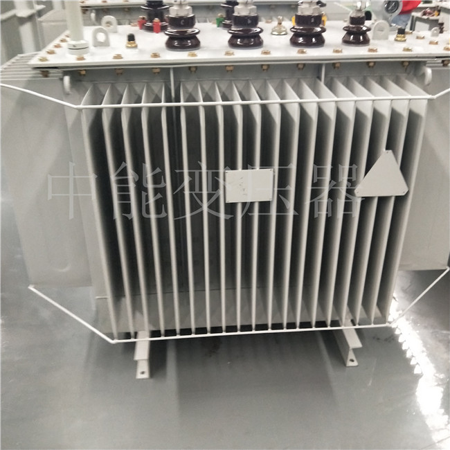 齐齐哈尔S20-800KVA变压器