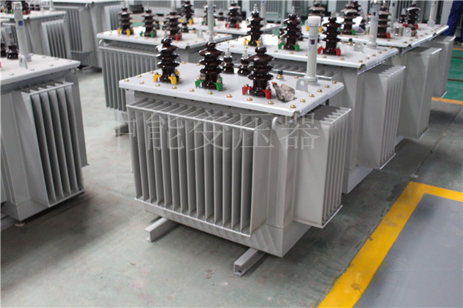 齐齐哈尔S22-250KVA/10KV变压器